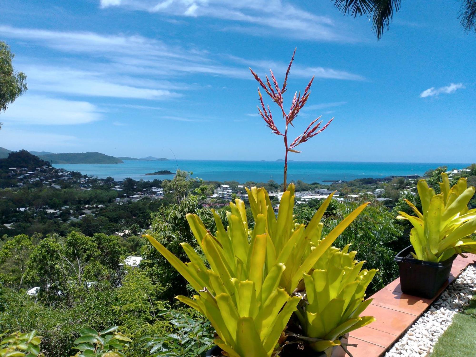 Yachtsmans Paradise, Whitsundays Hotel Airlie Beach Buitenkant foto